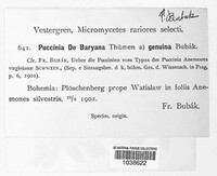 Puccinia debaryana image